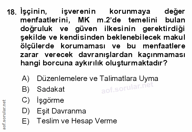 Soru 18
