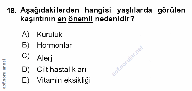 Soru 18