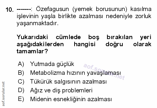 Soru 10