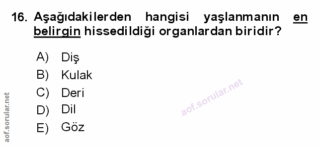 Soru 16