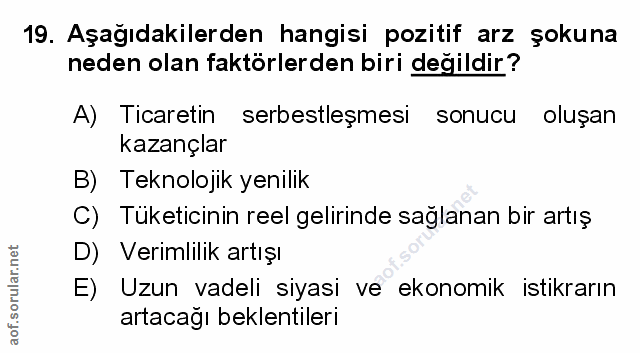 Soru 19