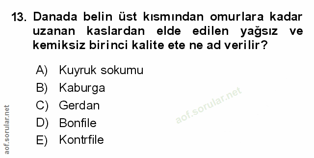 Soru 13