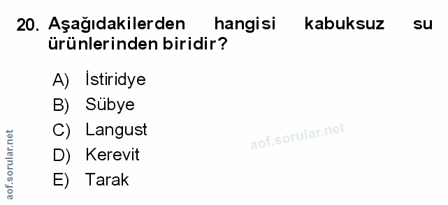 Soru 20