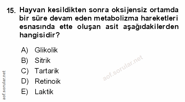 Soru 15