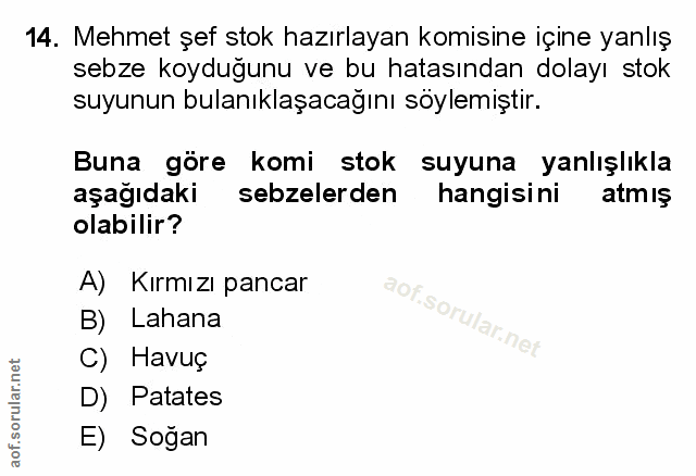 Soru 14
