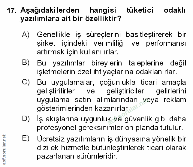 Soru 17