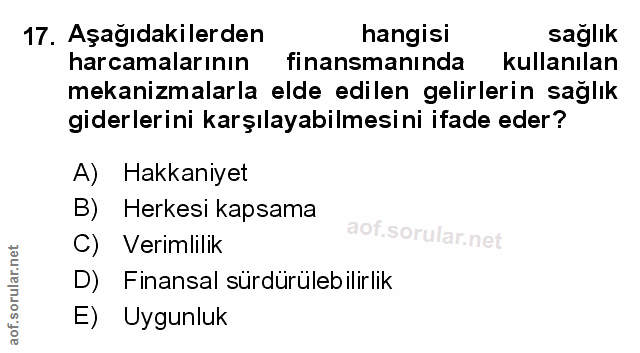 Soru 17