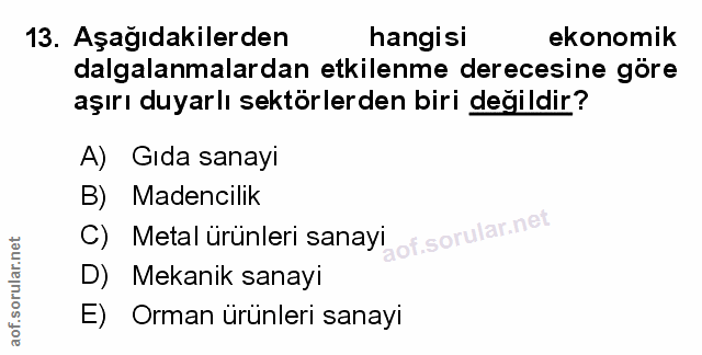 Soru 13