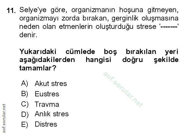 Soru 11