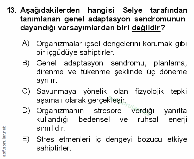 Soru 13