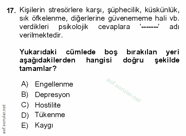 Soru 17