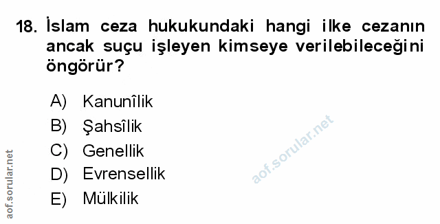Soru 18