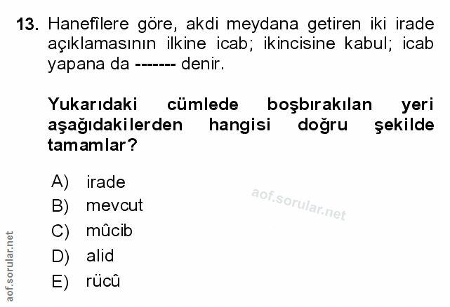 Soru 13
