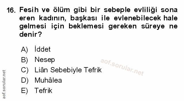 Soru 16