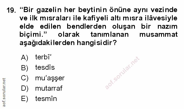 Soru 19