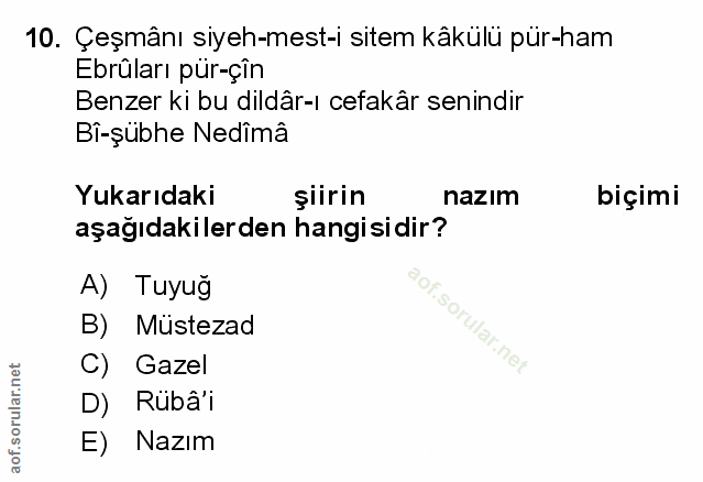 Soru 10