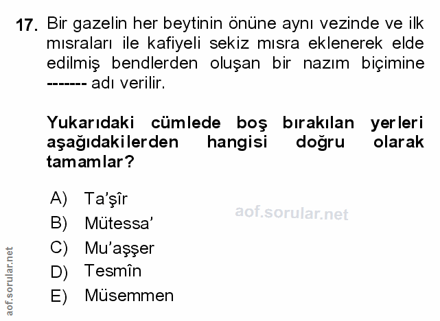 Soru 17