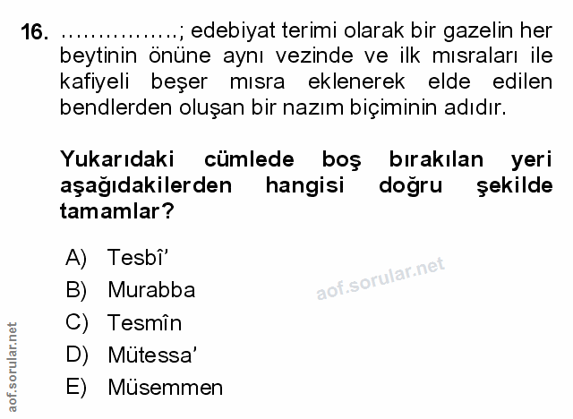 Soru 16