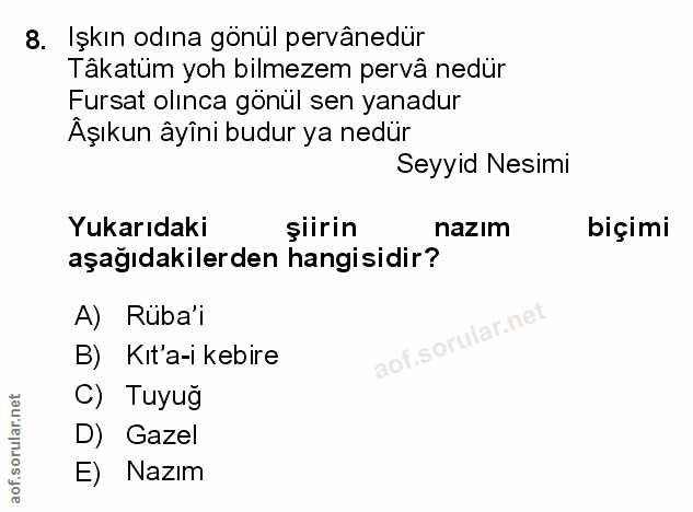 Soru 8