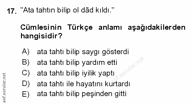 Soru 17