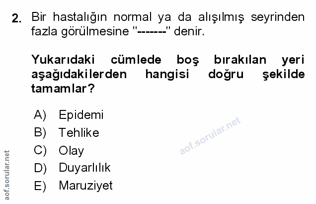Soru 2