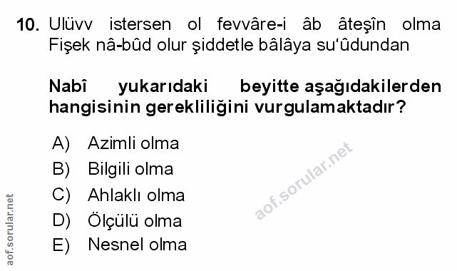 Soru 10