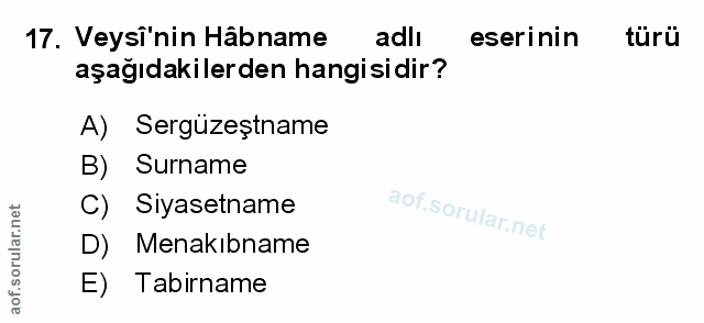 Soru 17