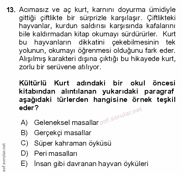 Soru 13