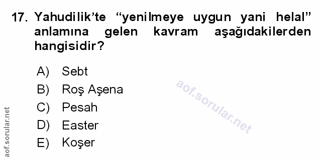 Soru 17