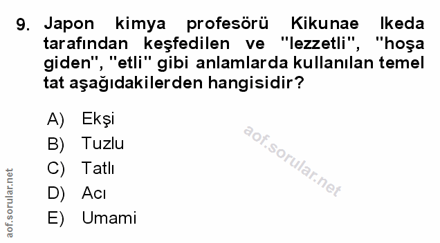 Soru 9