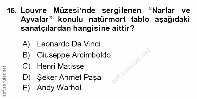 Soru 16