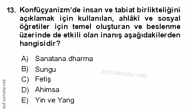 Soru 13