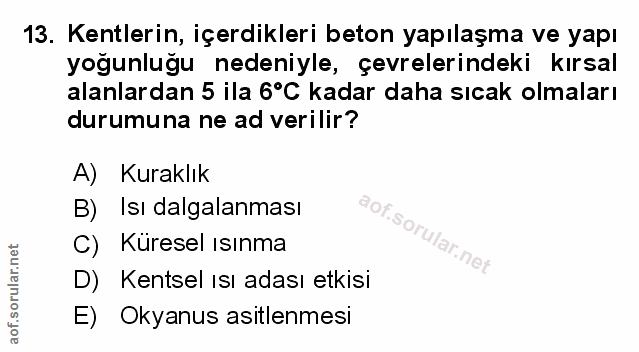 Soru 13