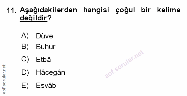 Soru 11