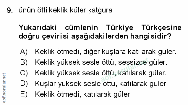 Soru 9