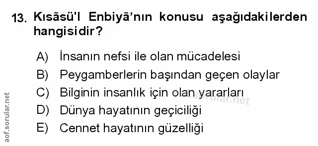 Soru 13