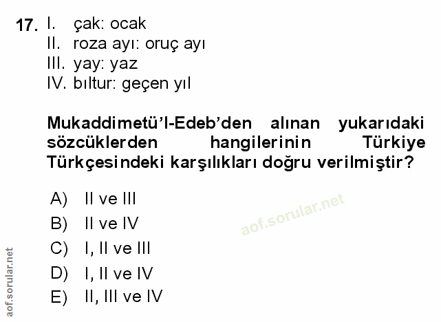 Soru 17