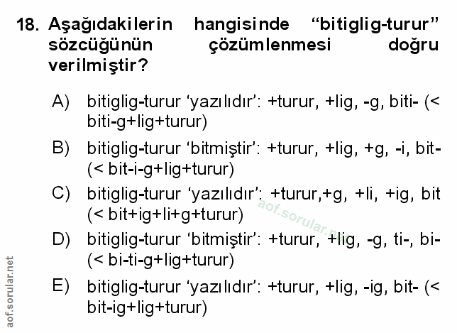 Soru 18