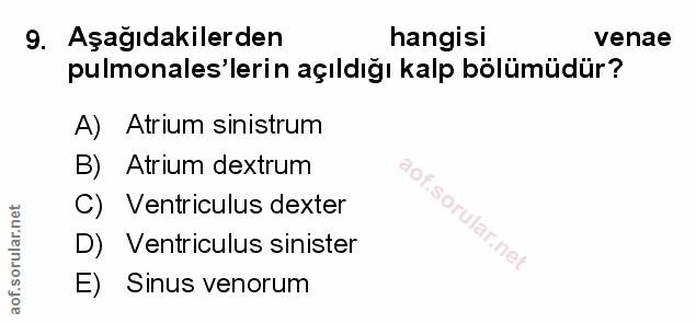 Soru 9