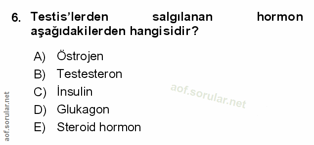 Soru 6