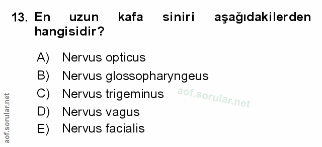 Soru 13