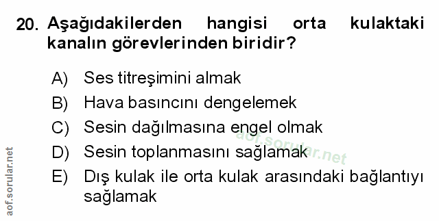 Soru 20