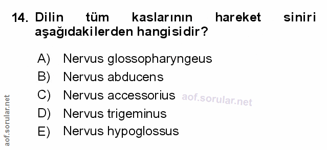 Soru 14