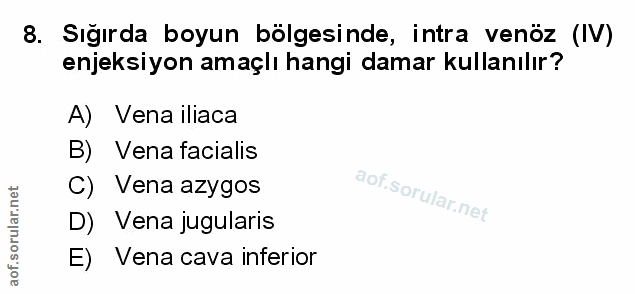 Soru 8