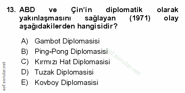 Soru 13