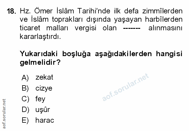 Soru 18