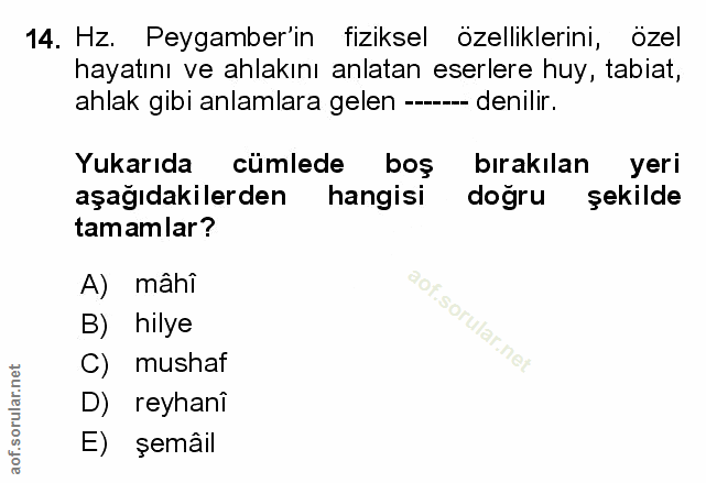 Soru 14