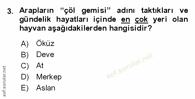 Soru 3