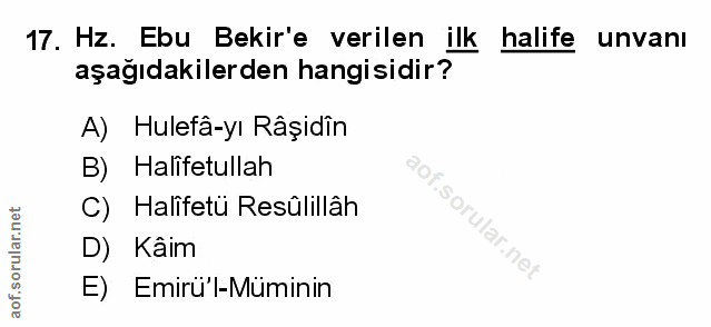 Soru 17