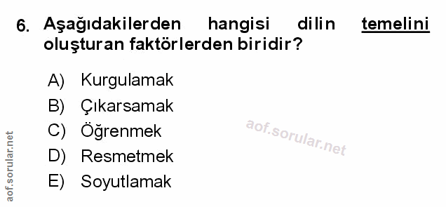 Soru 6